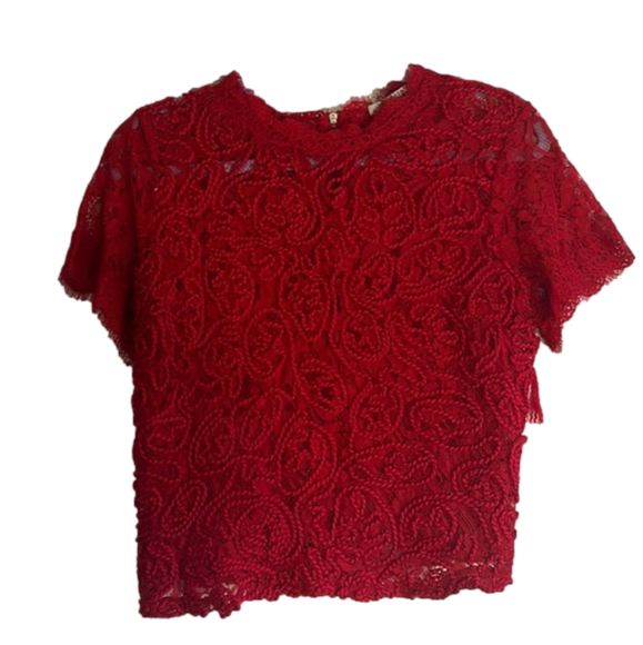 ZARA RED EMBROIDERY LACE TOP LARGE - Picture 1 of 5
